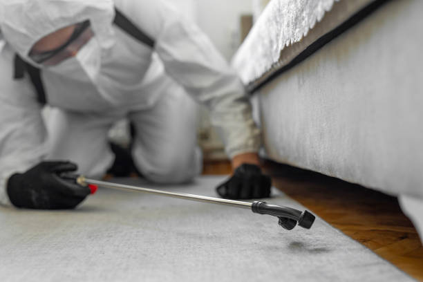 Professional Cockroach Control technician working in Burgaw, NC